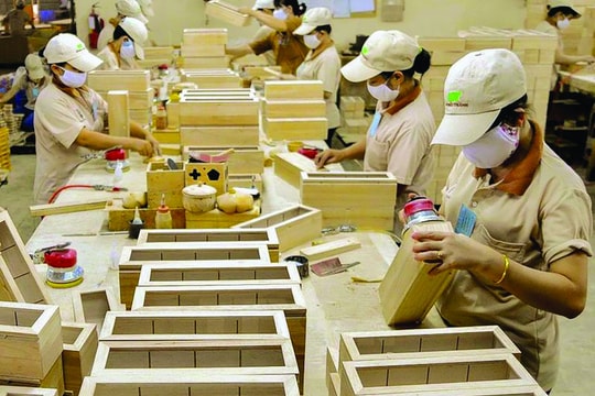 EUDR - rào cản cho doanh nghiệp gỗ: Thay đổi để thích ứng