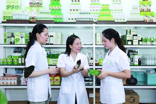 Khởi nghiệp từ sản phẩm quê hương