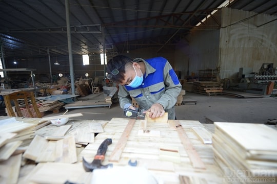 “Xanh hóa” để gia tăng xuất khẩu sang Hoa Kỳ