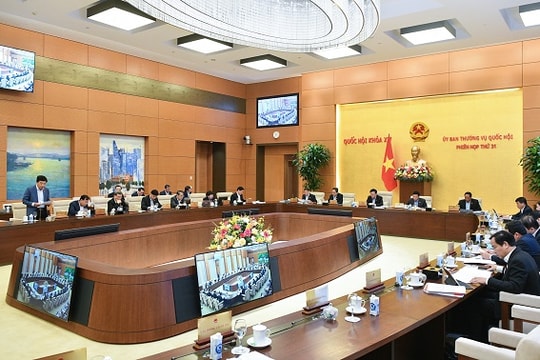 Nâng mức tiền đặt trước chưa xử lý triệt để tình trạng “bỏ cọc”