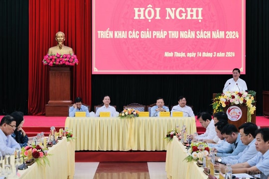 Ninh Thuận: Quyết tâm đạt mục tiêu thu ngân sách năm 2024 đạt 4.000 tỷ đồng