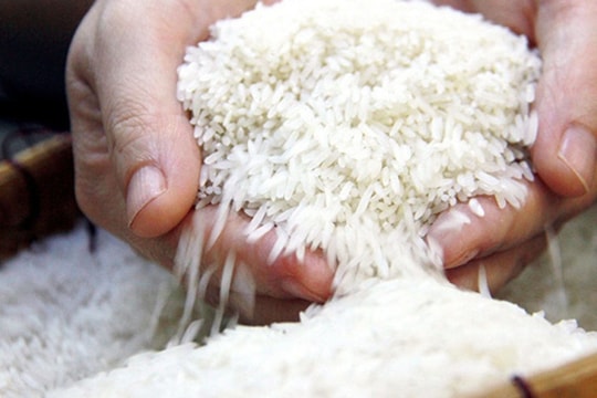 Gạo Việt ở đâu trên “bản đồ lương thực” thế giới?