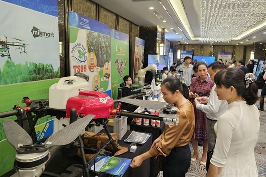 Hải Phòng: Lọt tốp đầu các địa phương có chỉ số đổi mới sáng tạo cao nhất năm 2023