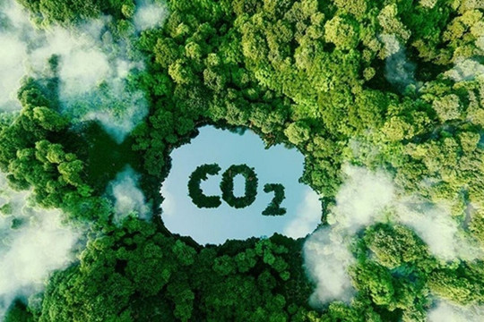 Xanh hoá sản xuất, giảm phát thải từ tín chỉ carbon