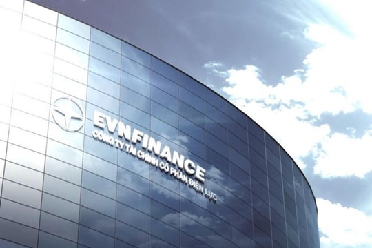 Hướng tái cơ cấu của EVF