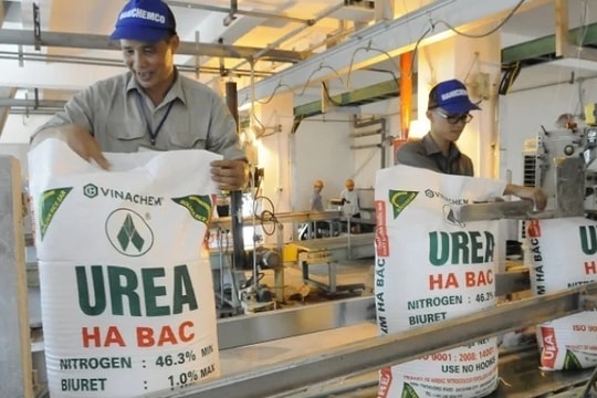 Thuế xuất khẩu phân bón "chặn đường" doanh nghiệp