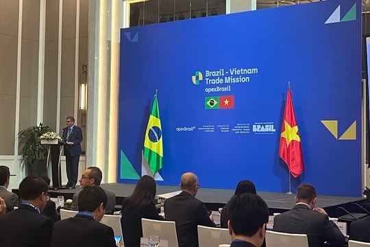 Thúc đẩy hợp tác Việt Nam- Brazil