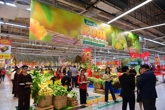 Khai mạc Tuần Lễ Xoài các tỉnh Đồng Bằng Sông Cửu Long năm 2024