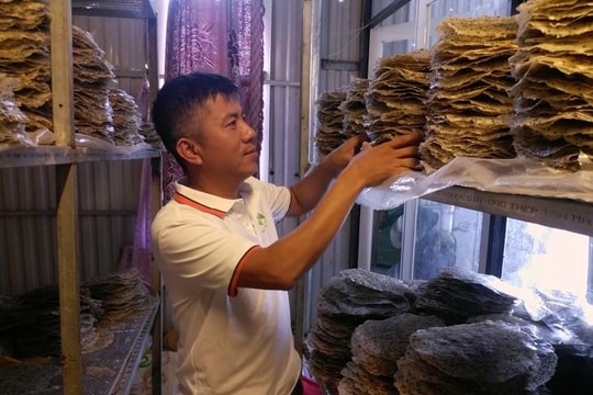 Kỹ sư “U40” khởi nghiệp với bánh tráng mè đen