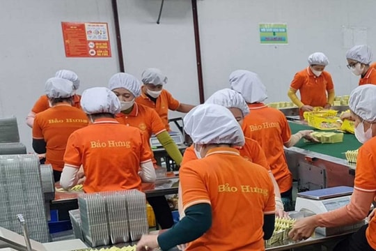 Câu chuyện khởi nghiệp thành công từ nghề bánh kẹo thủ công