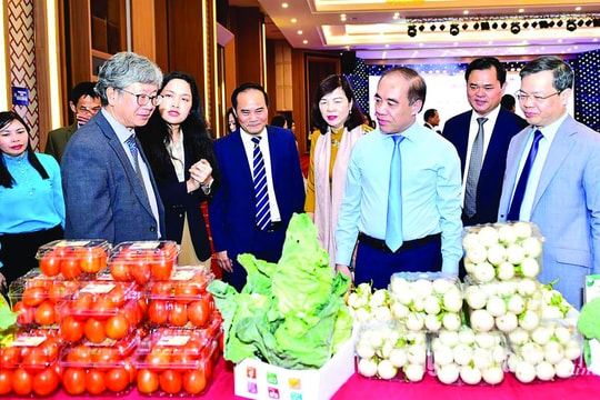 Khơi thông nguồn lực, thu hút Trang Chủ Nhà Cái Good88.com Không Chặn 2026