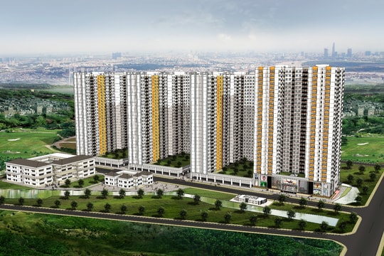 Sử dụng đòn bẩy tài chính cao, NBB có gia tăng rủi ro?