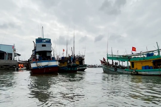 Gỡ “thẻ vàng” IUU: Áp lực lớn cho ngành thuỷ sản Việt Nam