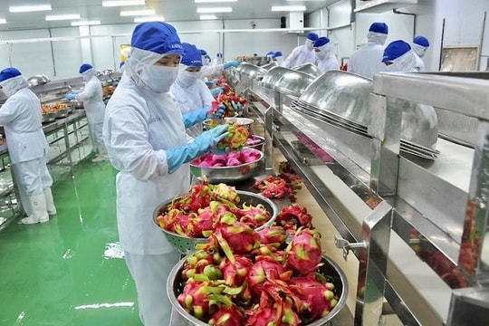 Đơn hàng của doanh nghiệp khởi sắc, nông nghiệp xuất siêu 3,36 tỷ USD