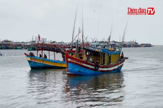 Chống khai thác IUU (bài 1): Duy trì công tác tuyên truyền để ngư dân ý thức chấp hành