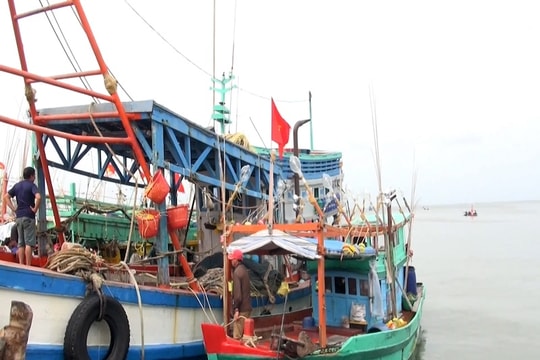 Chống khai thác IUU (bài 2): Cần tăng cường lực lượng chấp pháp trên biển