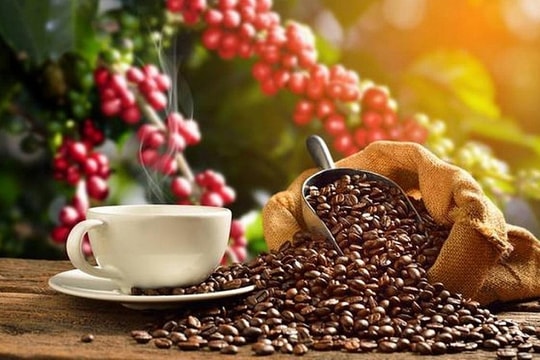 Xuất khẩu cà phê sang EU: Cần giải pháp căn cơ
