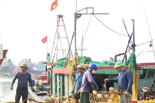 Thái Bình: Nỗ lực chống khai thác IUU