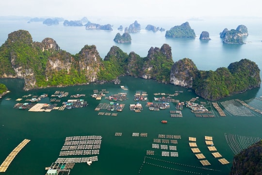 Du lịch nghỉ dưỡng cao cấp Vân Đồn: Sẵn sàng thăng hoa