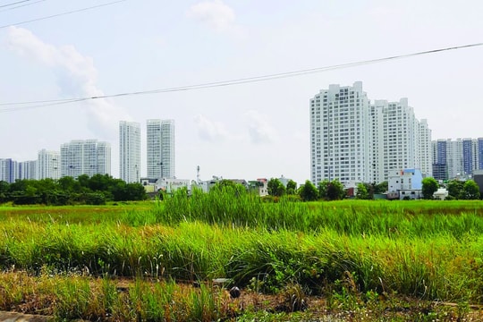 Mở rộng loại đất làm nhà thương mại: Không công bằng giữa các doanh nghiệp