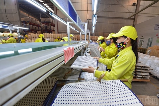 Cần thêm trợ lực để doanh nghiệp… vượt khó