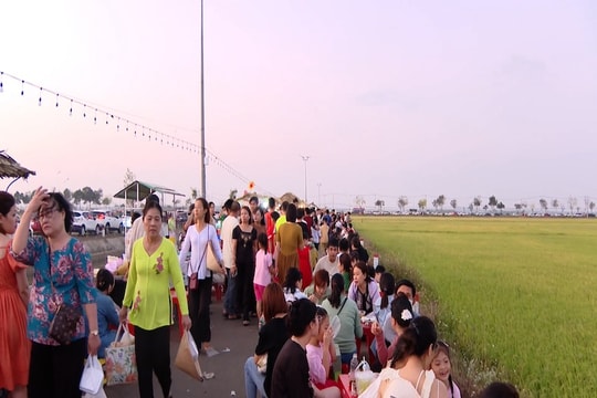 Bà Rịa - Vũng Tàu: Đa dạng các sản phẩm dịch vụ du lịch đón lễ 30/4