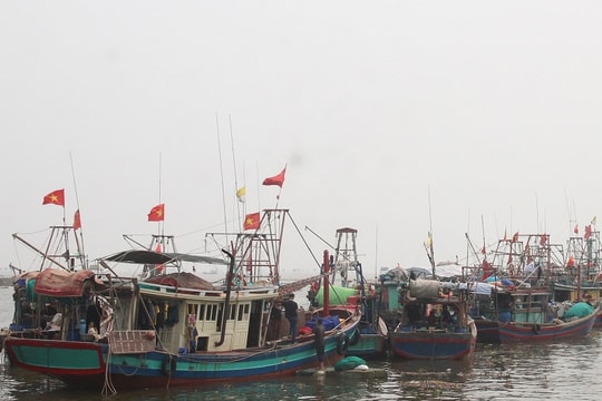 Thái Bình: Tháo gỡ khó khăn trong chống khai thác IUU