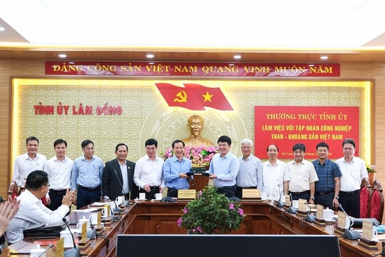 TKV tiếp tục đẩy mạnh hoạt động đầu tư tại Lâm Đồng