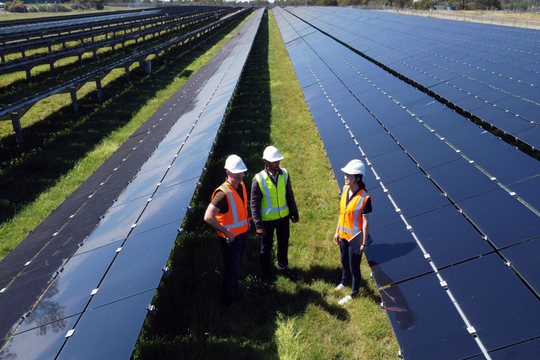 Việc làm xanh: Xu hướng mới của châu Á