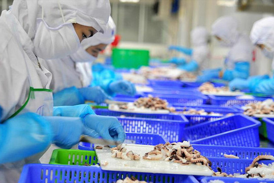 Xuất khẩu thủy sản: Kỳ vọng bứt phá