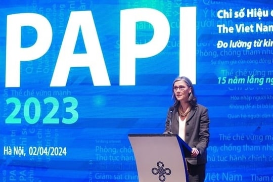 Bà Rịa – Vũng Tàu đứng đầu khu vực Đông Nam Bộ về PAPI