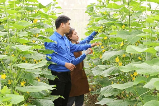 Nam Định: Đồng hành cùng thanh niên vượt khó khởi nghiệp trên mảnh đất quê hương