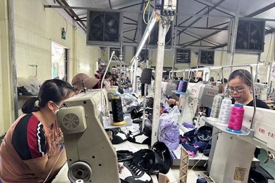 Nam Định: Triển khai xây dựng 3 khu công nghiệp mới