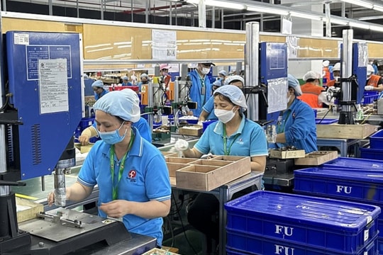 Thái Bình: Nhu cầu tuyển lao động cho doanh nghiệp tăng cao