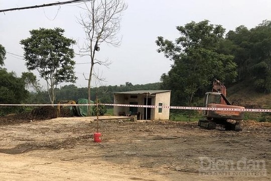 Thường Xuân (Thanh Hóa): Đã xử lý nghiêm các cơ sở thu mua chế biến lâm sản tự phát