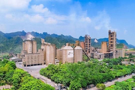 Thỏa thuận xanh EU: Doanh nghiệp cần đẩy mạnh thích ứng