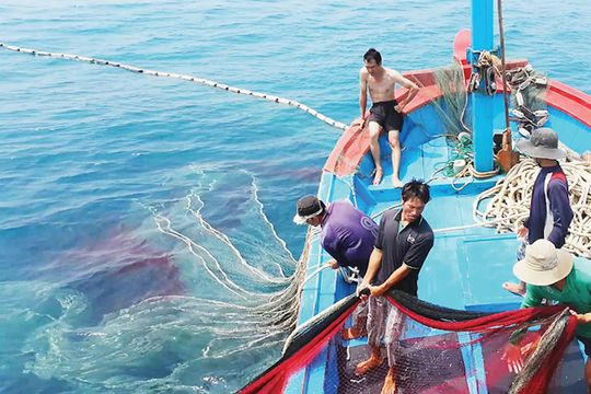Cơ hội cuối gỡ "thẻ vàng" IUU