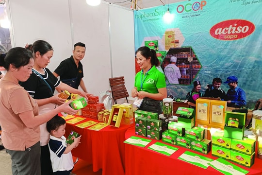 Lào Cai: Đẩy mạnh thương mại điện tử