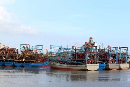 Nam Định: Nỗ lực bảo vệ và phát triển bền vững nguồn lợi thủy sản