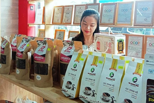 Tạo “luồng xanh” cho đăng ký, bảo hộ sở hữu trí tuệ sản phẩm OCOP