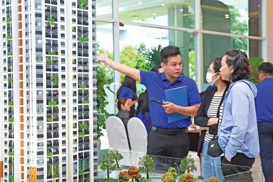 Đòn bẩy hạ tầng đưa bất động sản phía Nam bứt phá