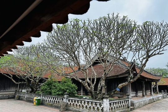 Chùa Keo - nét cổ xưa còn mãi