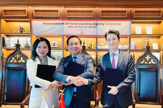 Tỉnh Quảng Trị và T&T Group hợp tác chuyển đổi năng lượng - tăng trưởng xanh với Tập đoàn SK (Hàn Quốc)