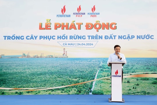 Petrovietnam phát động trồng cây phục hồi rừng trên đất ngập nước
