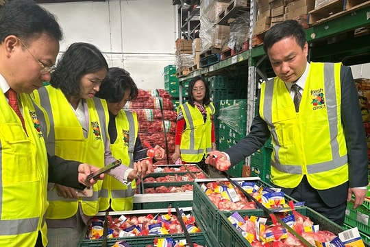 Hải Dương: Thúc đẩy kết nối thương mại với các doanh nghiệp tại New Zealand