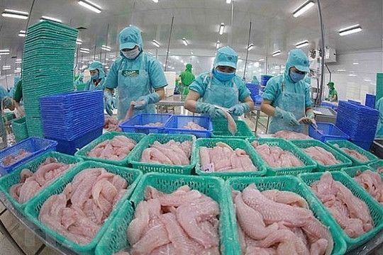 Việt Nam xuất khẩu thủy sản lớn thứ 5 vào Singapore