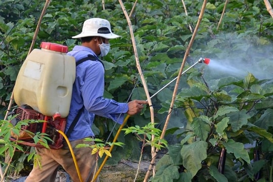 Gỡ khó cho sản xuất và sử dụng thuốc bảo vệ thực vật sinh học