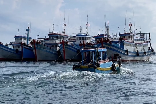 Chống khai thác IUU: Vì sự phát triển ngành thuỷ sản ổn định và bền vững