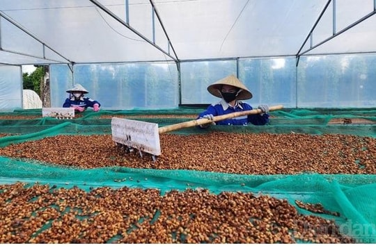 Xóa điểm nghẽn, phát triển thương mại ở Tây Nguyên