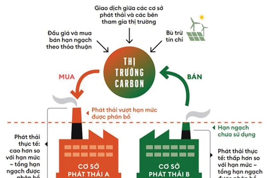 Dẫn vốn xanh từ tín chỉ carbon